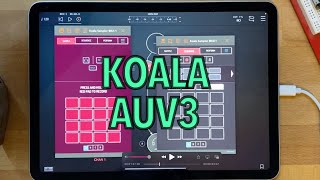 Koala as an AUV3 Plugin [upl. by Jurkoic]