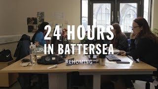 Rehoming  24 Hours In Battersea [upl. by Dominga]