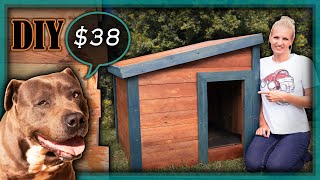 How to Build a Dog Kennel with Pallet Wood★DIY Wooden Pallet Dog House★Making a Warm Paling DogHouse [upl. by Nnoryt577]