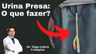 Como é que o urologista examina [upl. by Damalis]