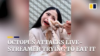 Octopus attacks livestreamer as she tries to eat it alive in China [upl. by Nimoynib169]