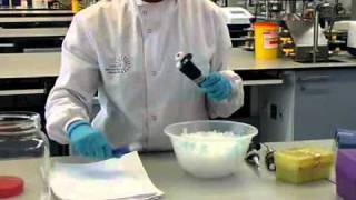 How to Perform a Polymerase Chain Reaction  William Armour amp Laura Towns [upl. by Lorien]