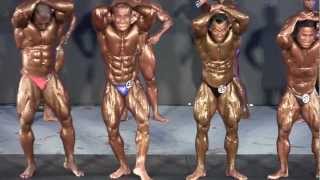 World 2012  Mr Universe 2012 Overall Champion [upl. by Stannfield]