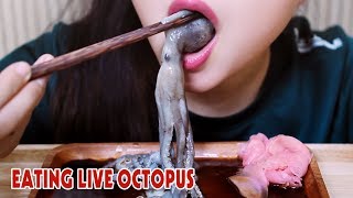 ASMR LIVE octopus challenge exotic food eating sound part 2LINHASMR [upl. by Annairdna]