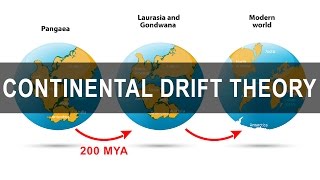 Continental Drift Theory  Alfred Wegener  Pangea  Gondwanaland [upl. by Basia786]