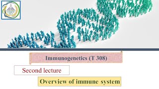 Second lecture Overview of immune system Immunogenetics [upl. by Ellata889]