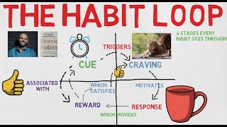 4 stages of The Habit Loop [upl. by Zita]