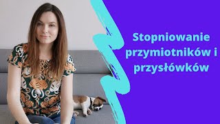 Stopniownie przymiotników i przysłówków [upl. by Lagiba383]