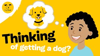 Thinking of rehoming a dog  Dogs Trust [upl. by Eillen]