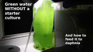 Green Water WITHOUT a Starter Culture  From Scratch  How To [upl. by Narud274]