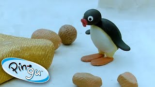 Pingu Makes Art Pingu  Official Channel Cartoons For Kids [upl. by Anatsirhc]