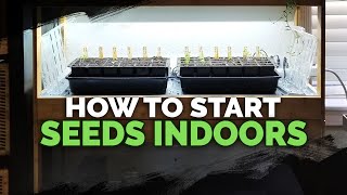 Seed Starting Indoors Under Grow Lights 101 [upl. by Ahsein]