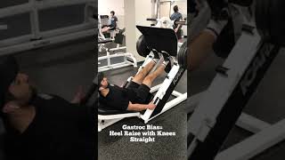 Double Leg Heel Raise On Leg Press [upl. by Akeyla929]