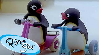 Pingu Surprises Everyone 🐧  Pingu  Official Channel  Cartoons For Kids [upl. by Ries822]