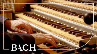 Bach  Concerto in D minor BWV 596  Van Doeselaar  Netherlands Bach Society [upl. by Asetal236]