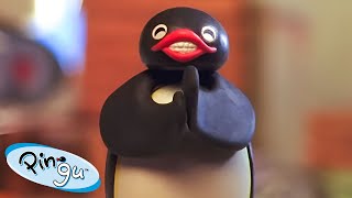 Pingu At Play 🐧  Pingu  Official Channel  Cartoons For Kids [upl. by Feldman72]