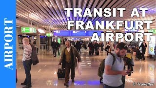 TRANSIT WALK AT FRANKFURT Airport FRA Terminal 1  Connection Flight Transfer Arriving amp Departing [upl. by Lennod]