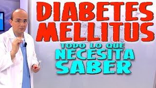 DIABETES MELLITUS  Todo lo que necesita saber  Enfermedades 23 [upl. by Cobby794]