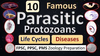 Parasitism  10 Protozoan Parasites  Life Cycle  Diseases  Features [upl. by Farkas]