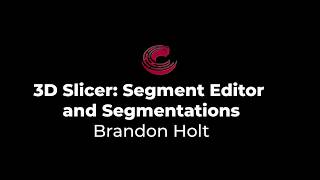 3D Slicer  Segment Editor and Segmentations [upl. by Akaenahs]