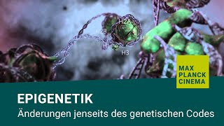 Epigenetik  Änderungen jenseits des genetischen Codes [upl. by Lamonica517]