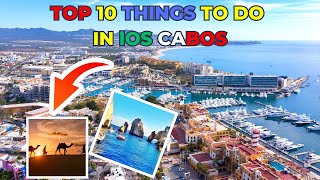 Cabo San Lucas Top 10 Best Tours You Cant Miss [upl. by Elocan607]