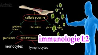 introduction a limmunologie système immunitaire L2 بالعربية [upl. by Ninnette]