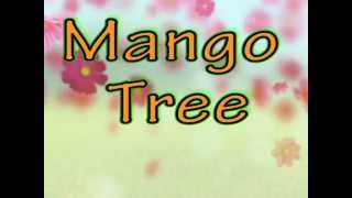 Mango Tree Lyrics Zac Brown Band WITH SONG [upl. by Ylremik]